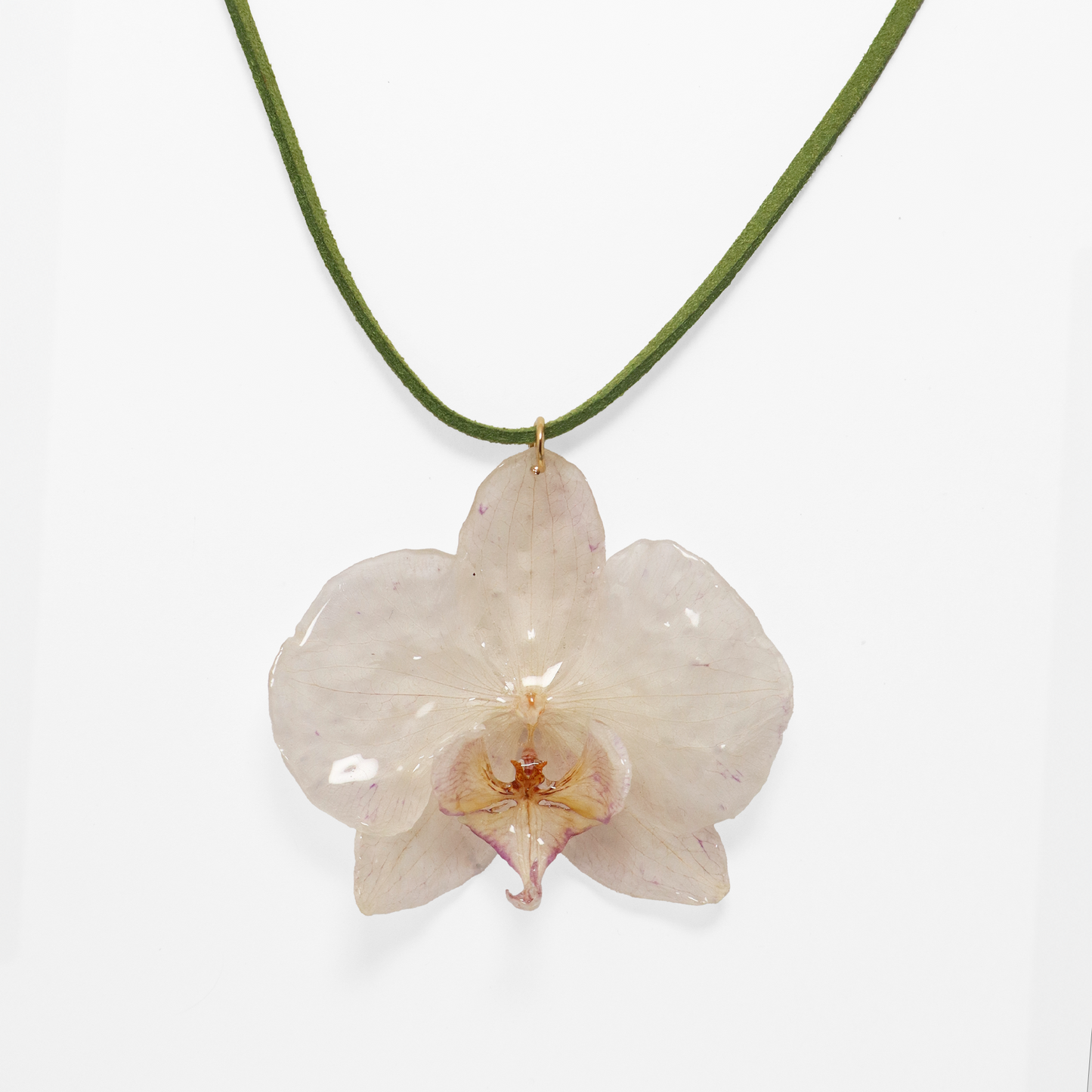 Choker crema, joyería de diseño artesanal con flor de orquídea natural sobre fondo blanco
