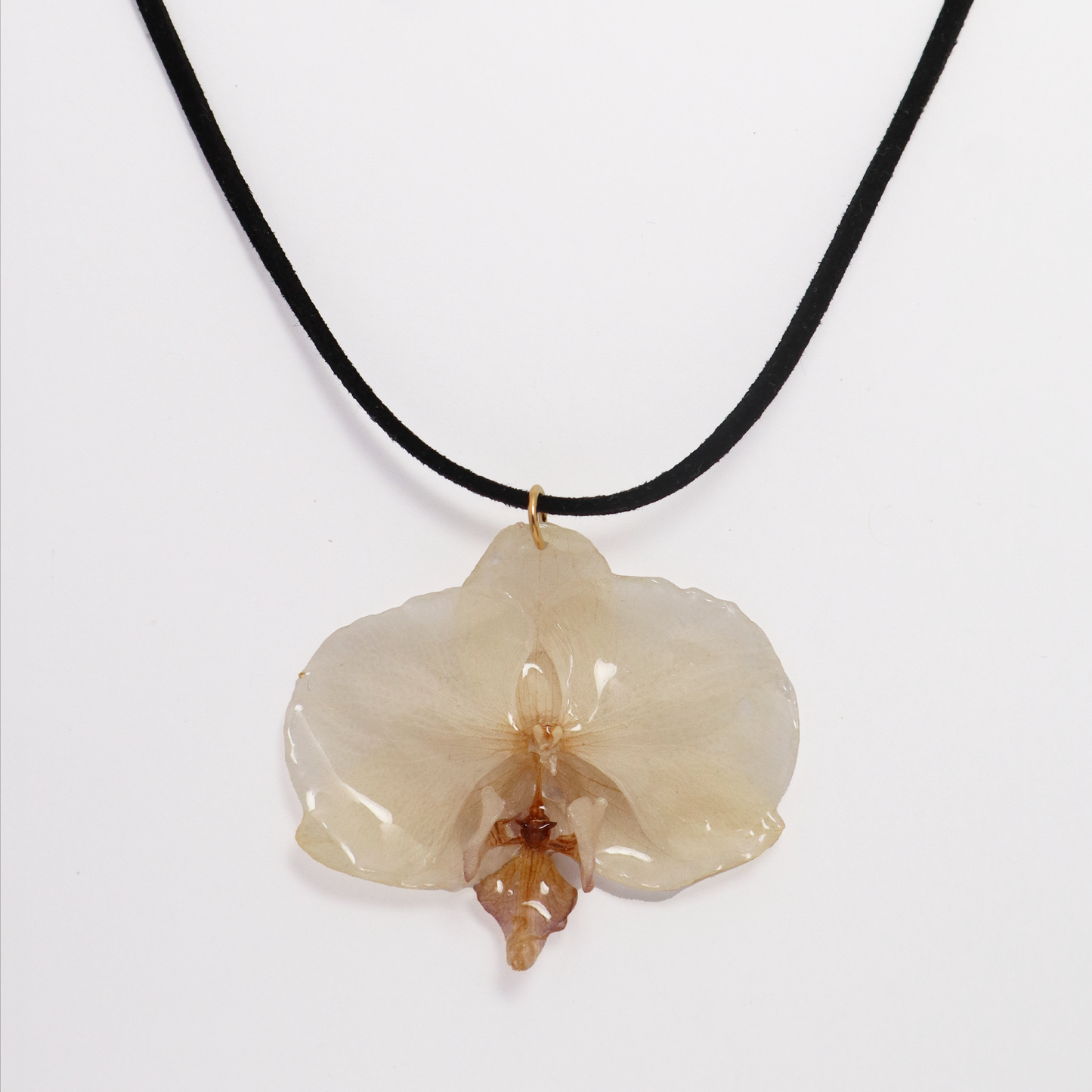 Choker crema, joyería de diseño artesanal con flor de orquídea natural sobre fondo blanco
