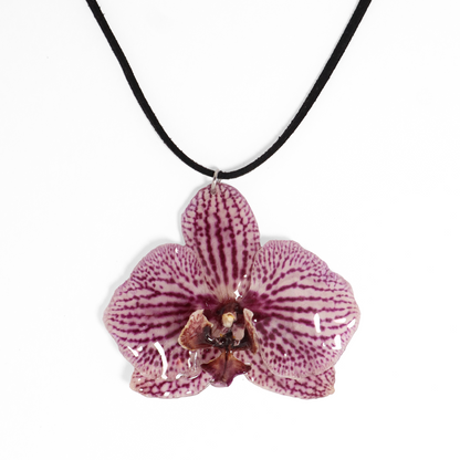 Choker exótico, joyería de diseño artesanal con flor de orquídea blanca y violeta natural sobre fondo blanco
