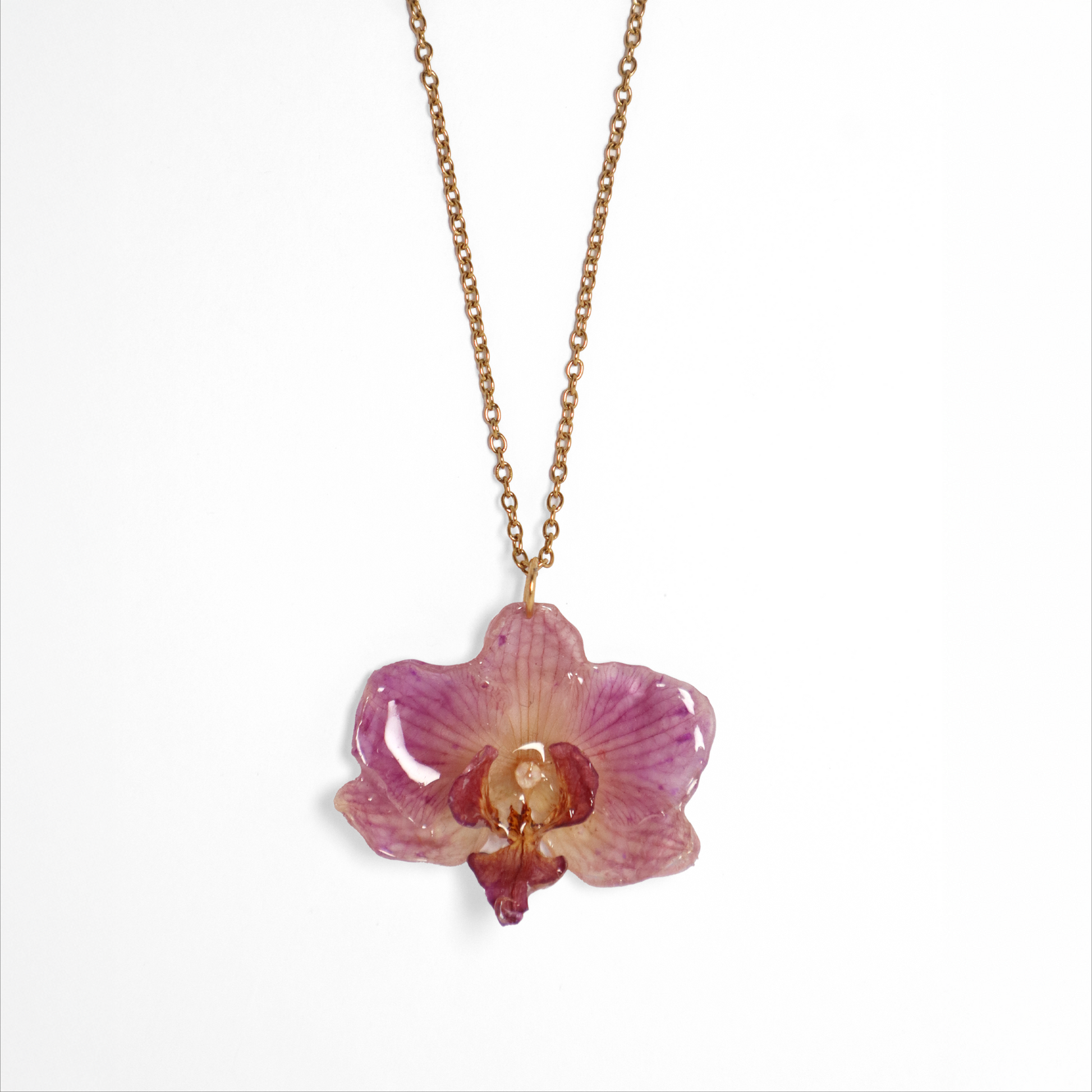 Collar rosado pequeño, joyería de diseño artesanal con flor de orquídea natural sobre fondo blanco
