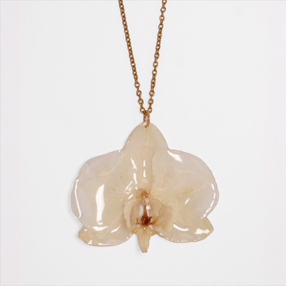 Collar crema, joyería de diseño artesanal con flor de orquídea natural sobre fondo blanco
