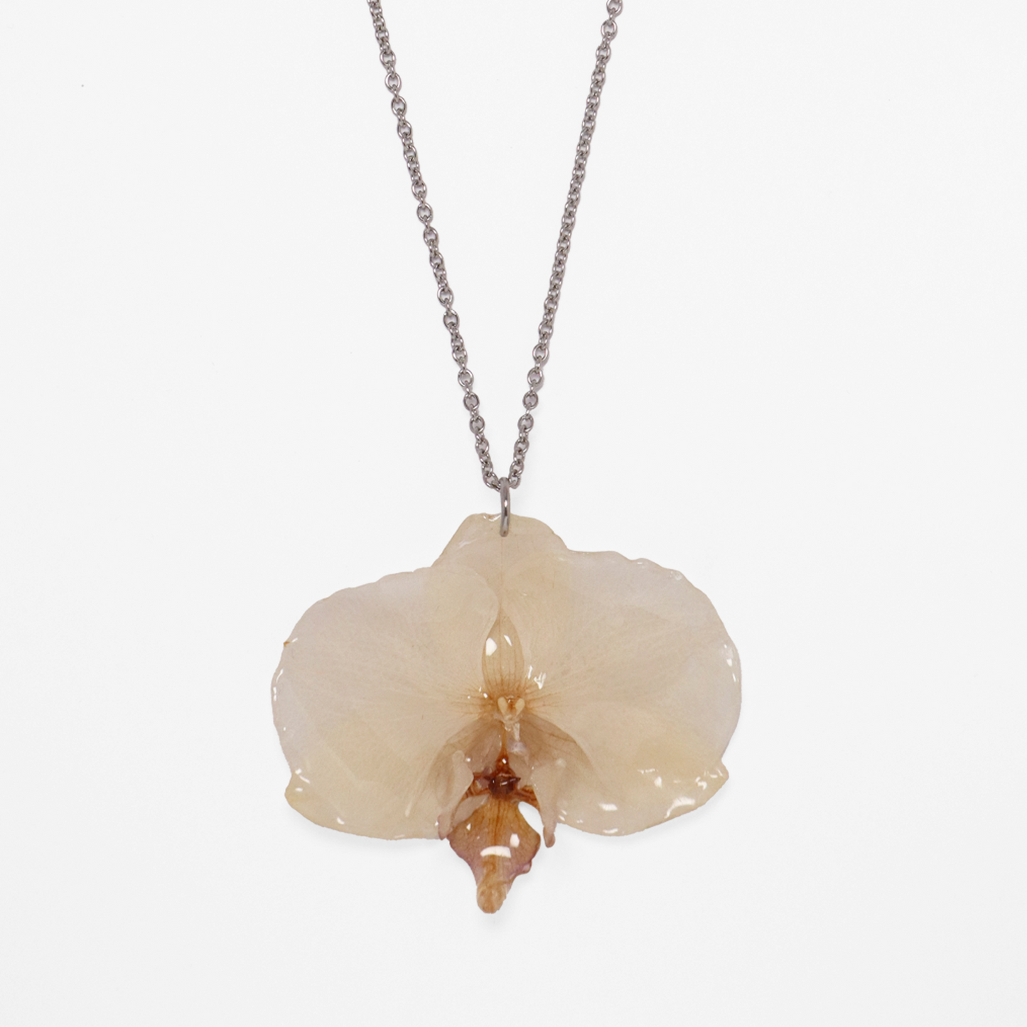 Collar crema, joyería de diseño artesanal con flor de orquídea natural sobre fondo blanco
