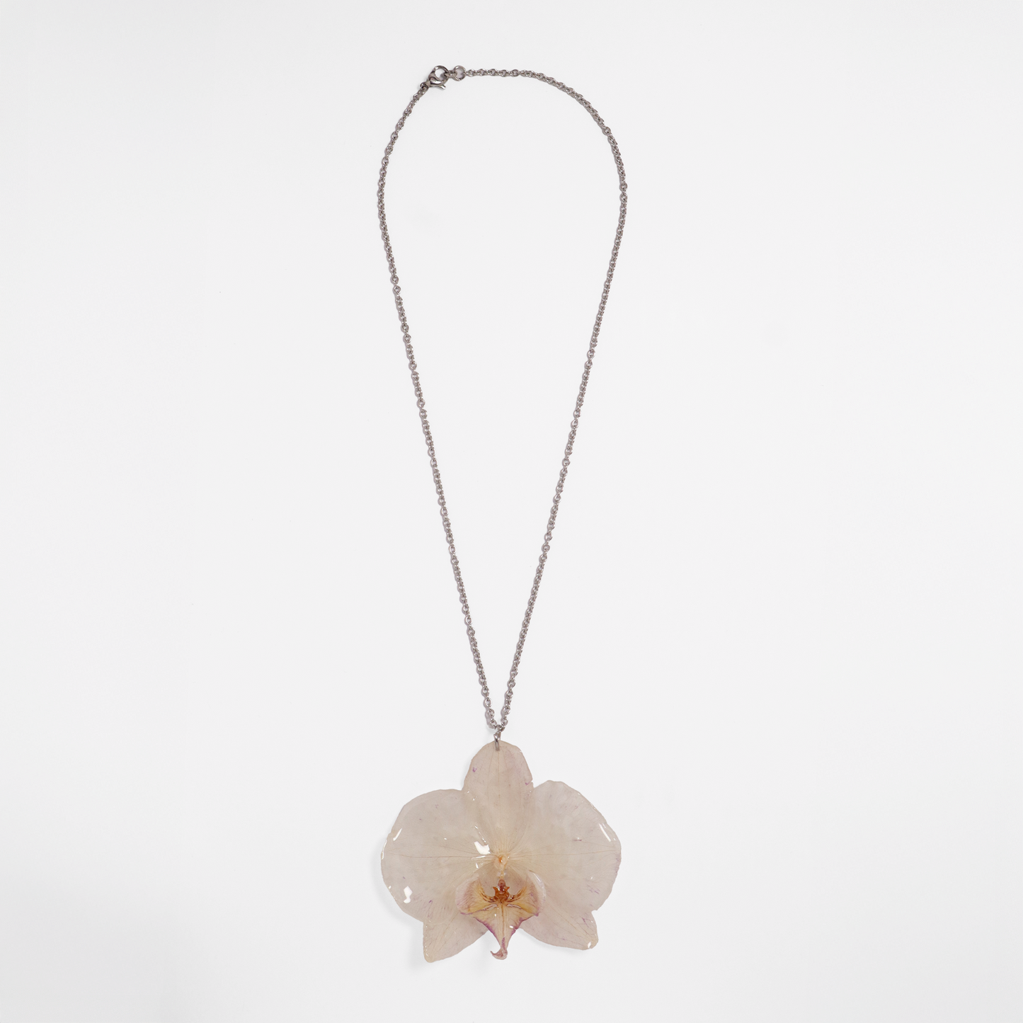 Collar crema, joyería de diseño artesanal con flor de orquídea natural sobre fondo blanco
