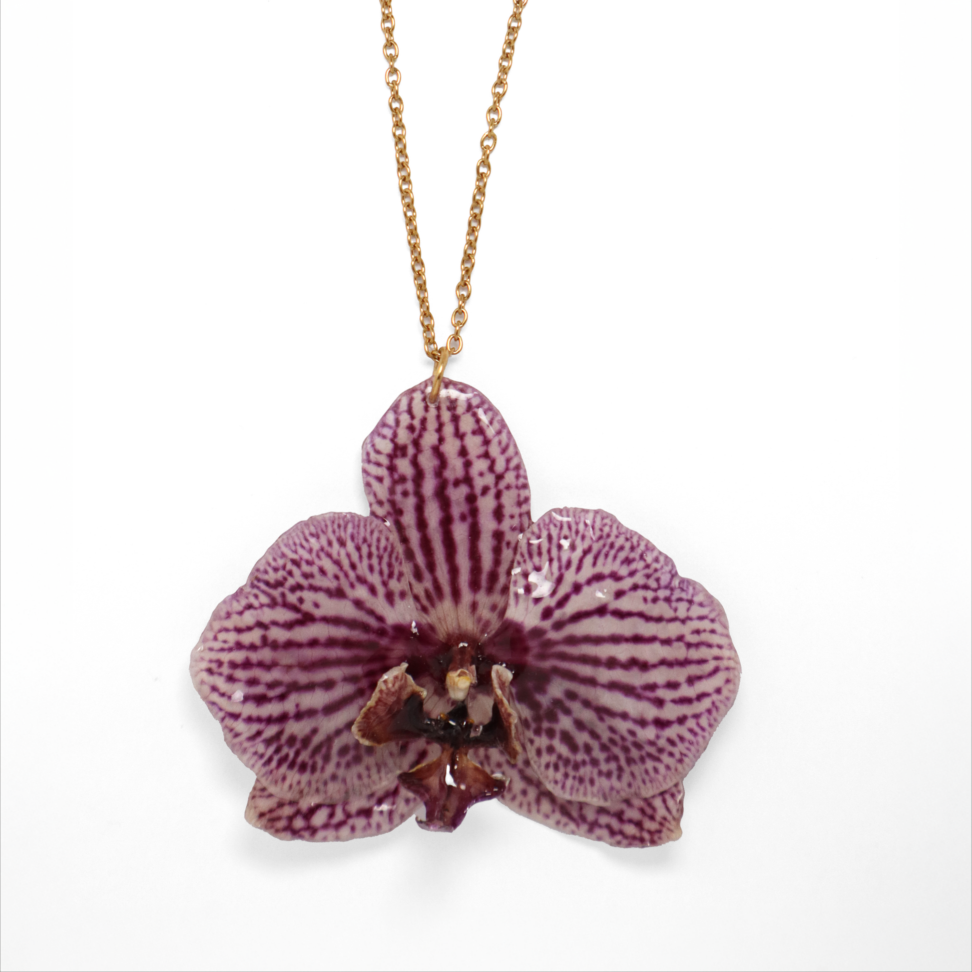 Collar exótico, joyería de diseño artesanal con flor de orquídea blanca y violeta natural sobre fondo blanco
