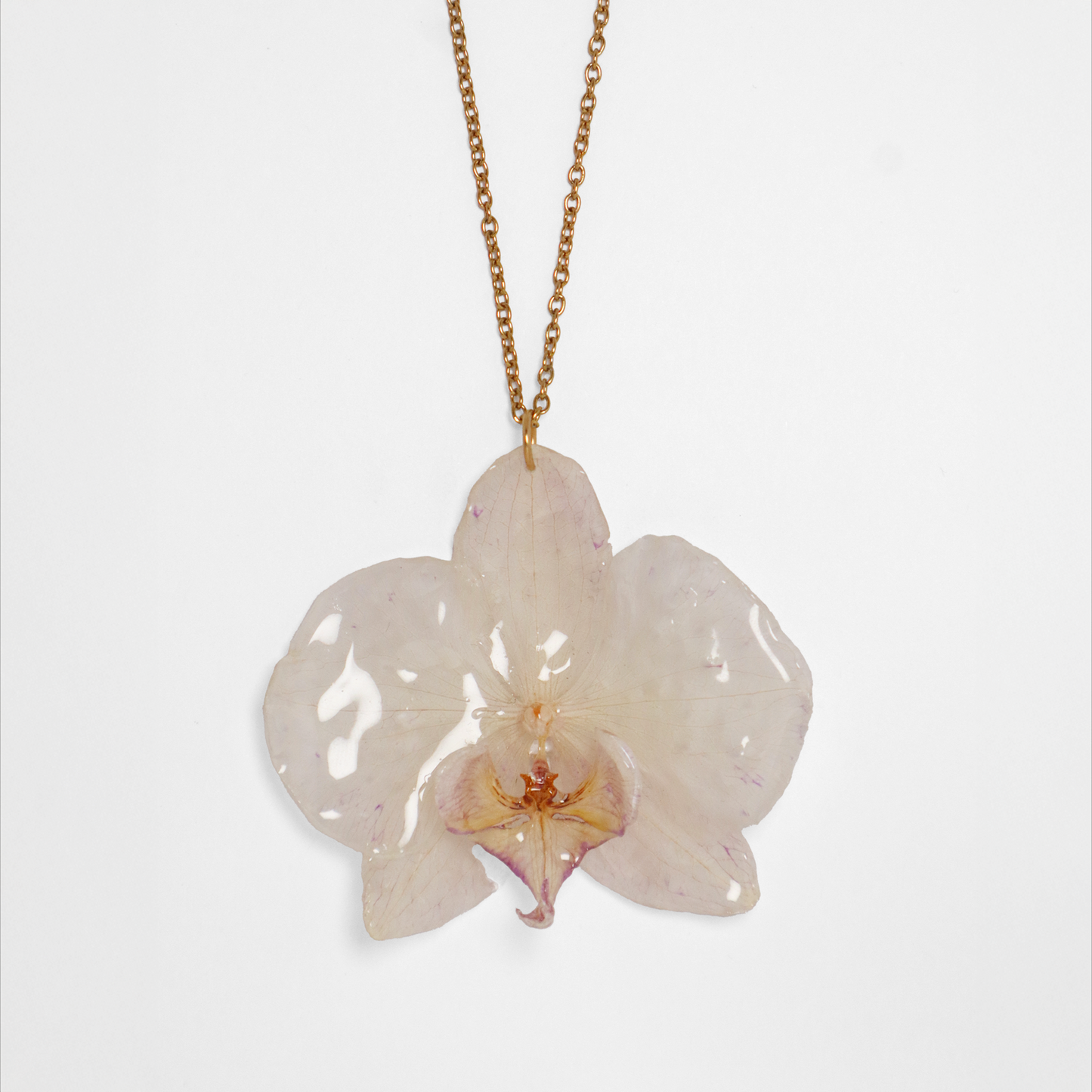 Collar crema, joyería de diseño artesanal con flor de orquídea natural sobre fondo blanco
