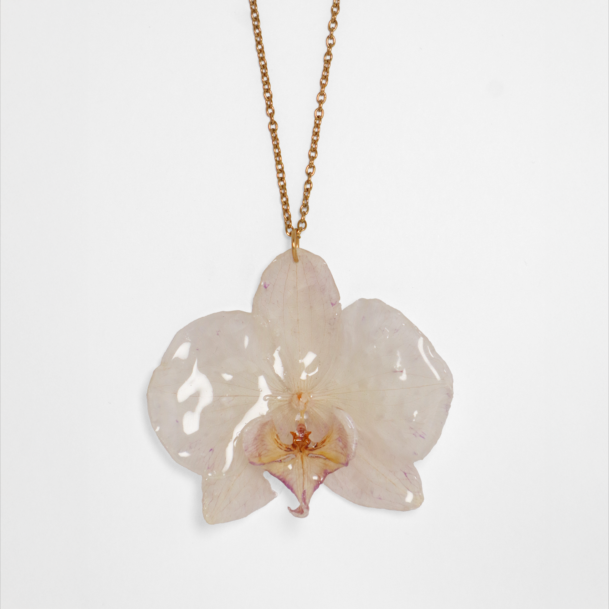 Collar crema, joyería de diseño artesanal con flor de orquídea natural sobre fondo blanco

