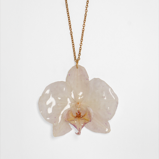 Collar crema, joyería de diseño artesanal con flor de orquídea natural sobre fondo blanco
