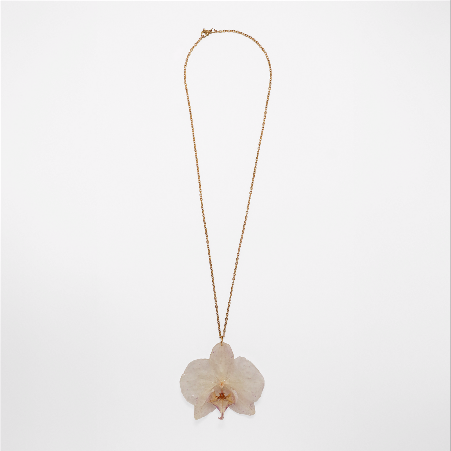 Collar crema, joyería de diseño artesanal con flor de orquídea natural sobre fondo blanco
