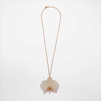 Collar crema, joyería de diseño artesanal con flor de orquídea natural sobre fondo blanco
